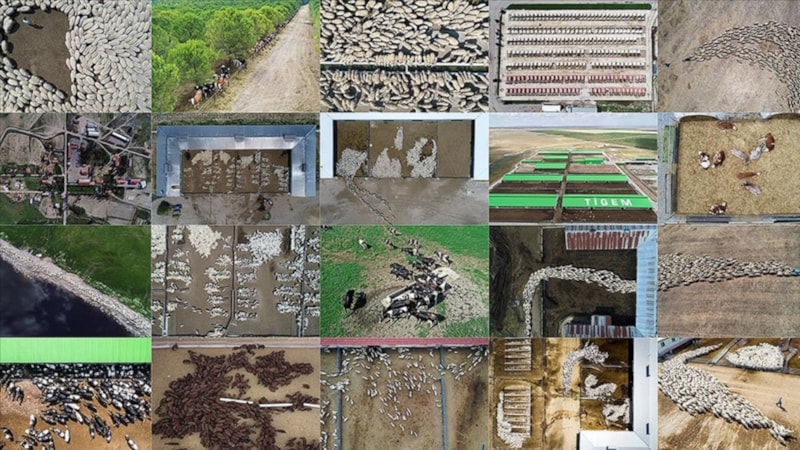 Kırsala Can Veren Proje: Mart Ayında İlk Kez Dağıtılacak...