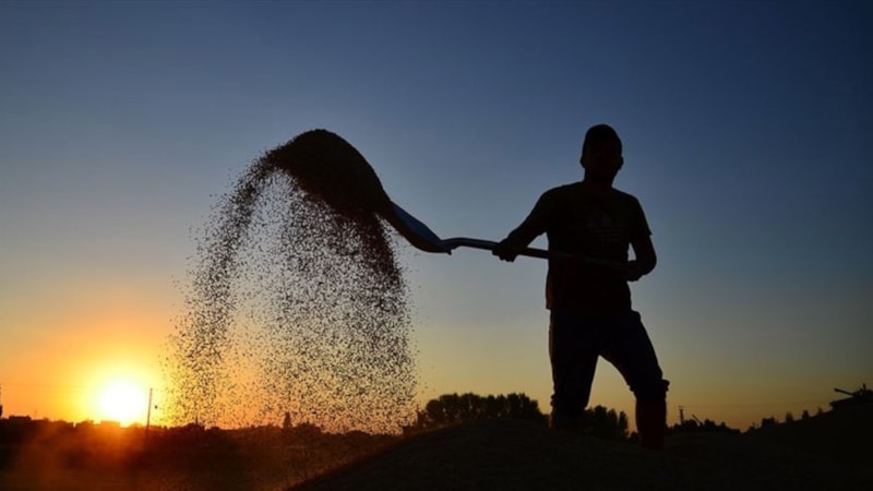 Çiftçilere 2,2 milyar lira tarımsal destek ödenecek