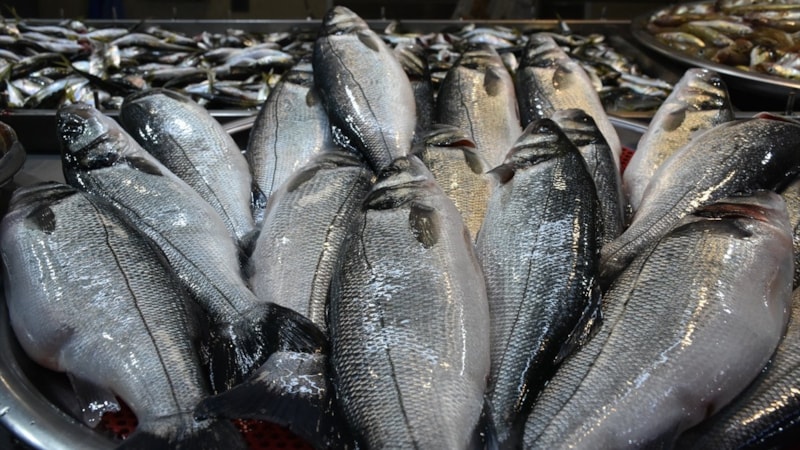 Trabzon'da hava muhalefeti balık fiyatlarını yükseltti