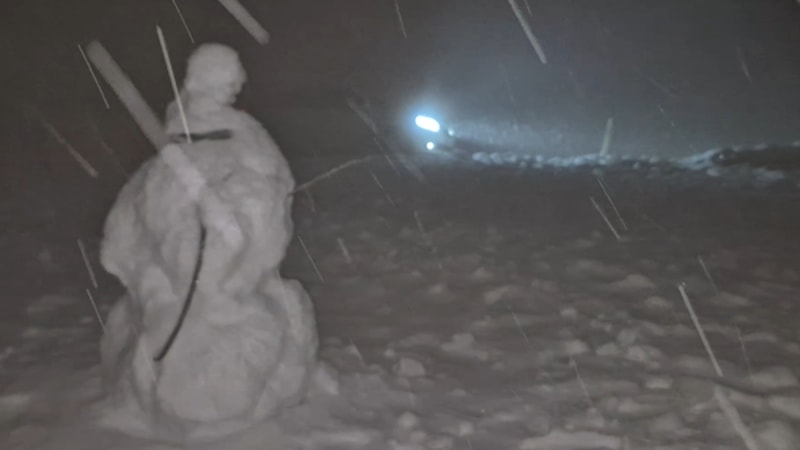 Bartın'da kar yağışı etkili oldu