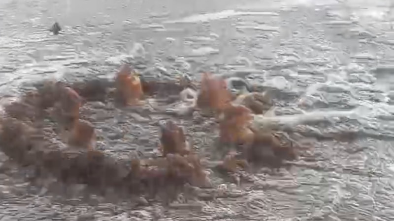 İzmir Büyükşehir Belediyesi'ne 1 milyon liralık atık su cezası