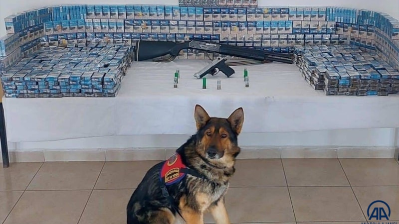 Erzurum'da dedektör köpek 