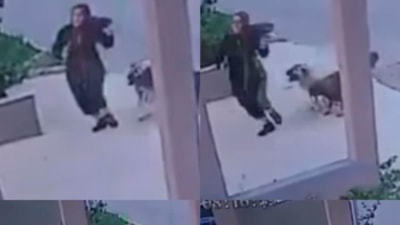Mersin'de sokak köpekleri kadına saldırdı: O anlar böyle görüntülendi