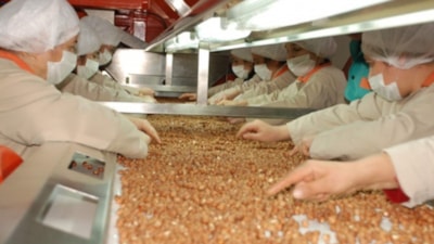 Fındık devi borsada! BALSU halka arz ne zaman, kaç lot verir? BALSU halka arz detayları...