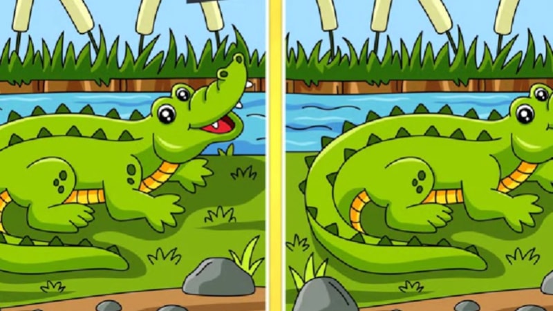 İki resim arasındaki 2 farkı sadece üstün zekalılar 8 saniyede buluyor! Süre başladı...