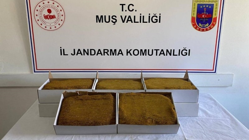 Muş'ta aranan 199 şahıs yakalandı