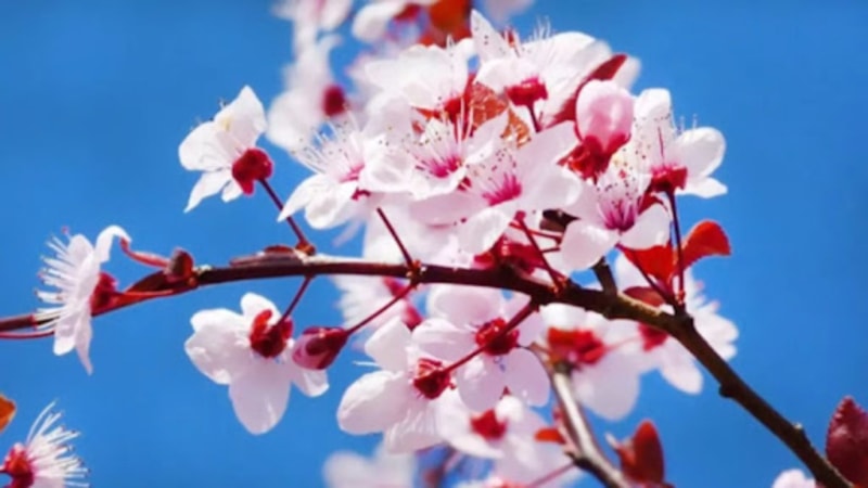 İkinci cemre ne zaman ve nereye düşecek?