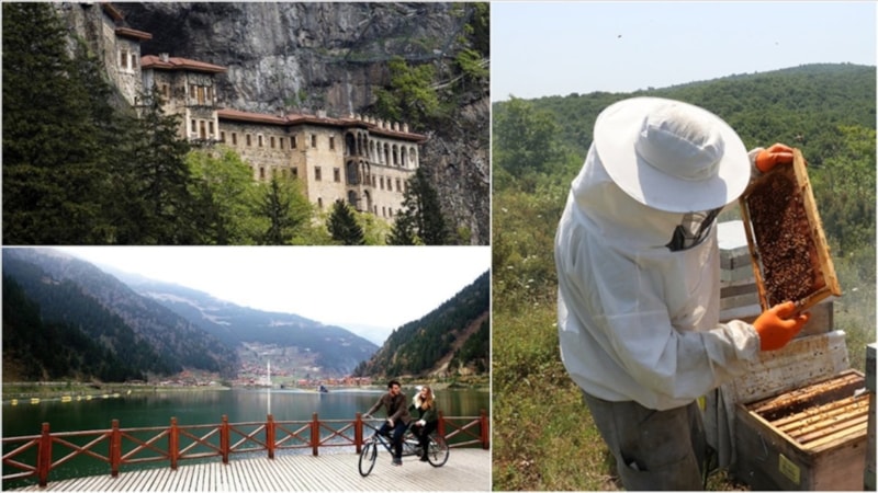 Doğu Karadeniz için tarımda ve turizmde atılım adımları