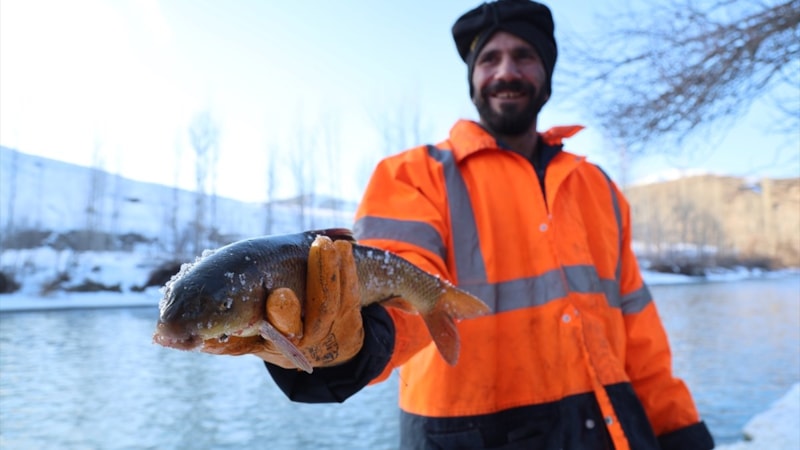 Bayburt'ta Eskimo usülü balık avı