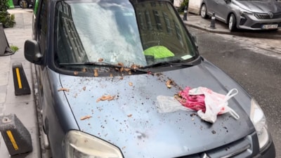 İstanbul'da pencereden atılan çöp otomobilin camını kırdı