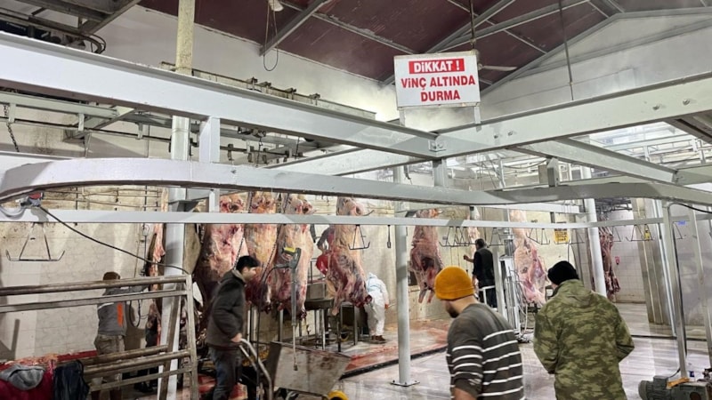 Tekirdağ'da kaçak kesime 105 bin TL ceza