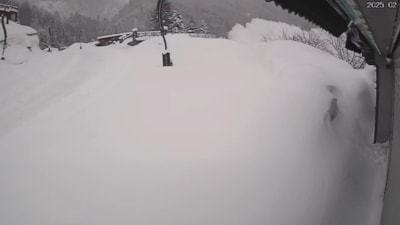 Rize Ayder Yaylası'nda çığ düştü