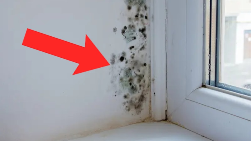 Ne nemleniyor ne de küfleniyor! Pencere Pervazınıza Bunu Koyun, Farkı Görün!