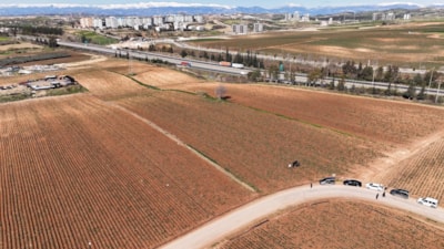 Adana'da 4 günlük zirai don üreticileri zarara soktu