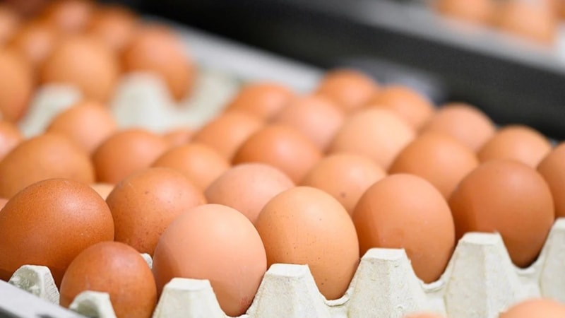 Ne kızarmış ne de çırpılmış: Yumurtayı böyle pişirince faydası katlanıyor