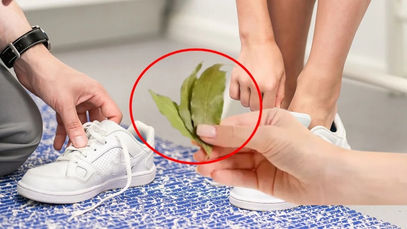 Ayakkabının içine defne yaprağı koyun, mucizeye tanık olun…