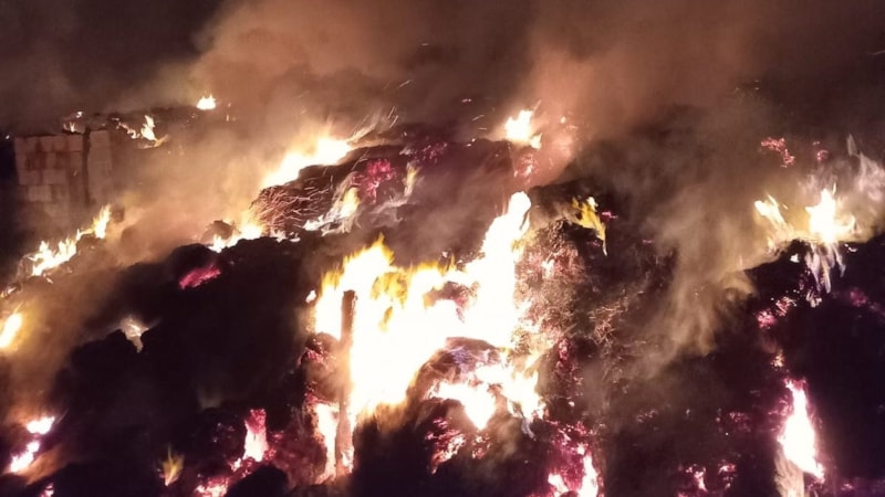 Kırklareli'nde korkutan yangın: Ağıl kül oldu