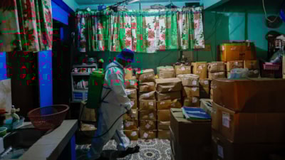 Filipinler'de artan 'dang humması' nedeniyle tedbirler alınıyor