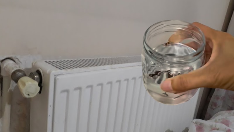 Peteğin üzerine bu karışımı koyan, hastalık nedir bilmiyor...