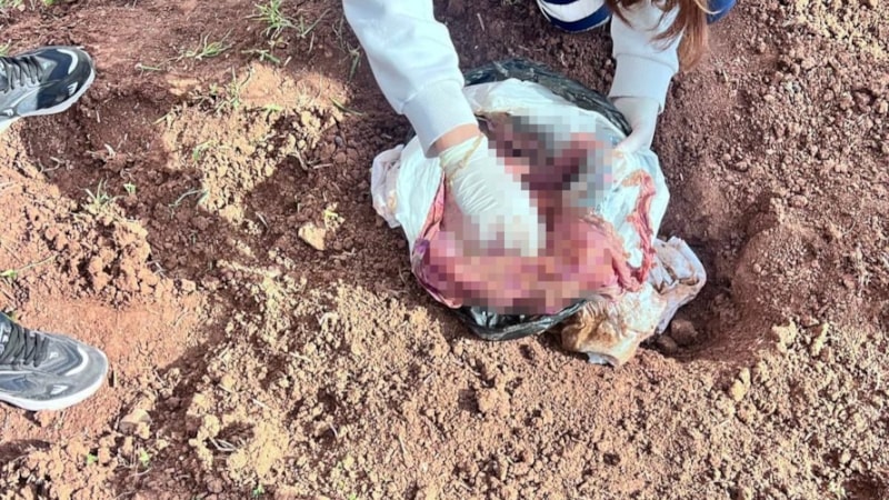 Şırnak'ta bebek cinayetine 2 tutuklama