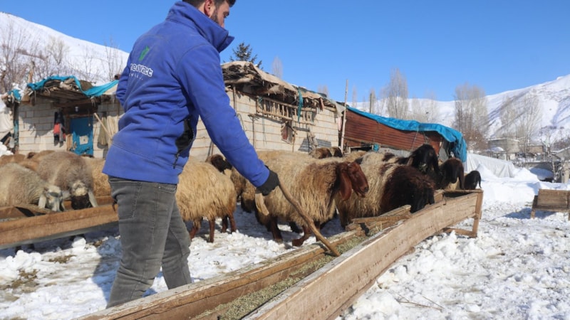 Bitlis'te besicilerin zorlu kış mesaisi