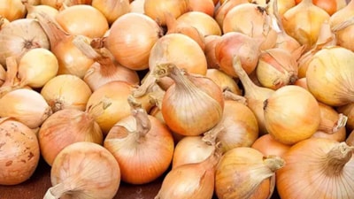 Soğan almadan önce mutlaka kontrol edin! Bu tüyolar en tazesini ortaya çıkarıyor