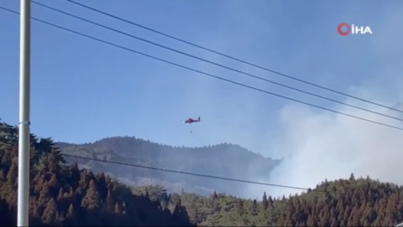 Japonya'daki orman yangını 4 gündür sürüyor