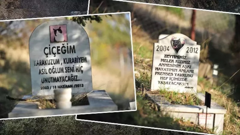 Evcil hayvanlara özel mezarlık: Fiyatı dudak uçuklattı