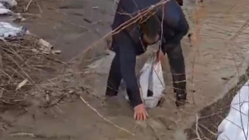 Kars Aras Nehri'nde balık ölümleri