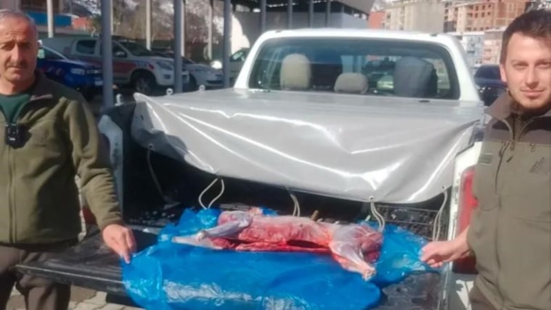 Artvin’de kaçak avcılar suçüstü yakalandı