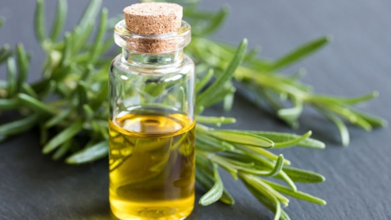 Biberiye yağı faydaları nelerdir? Biberiye yağı neye iyi gelir?