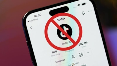 Reddit'in kurucu ortağı TikTok'u satın almak istiyor