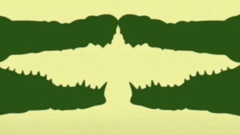 Kişilik testi: Şah mısınız, piyon mu? İlk gördüğünüz hayvan söylüyor...