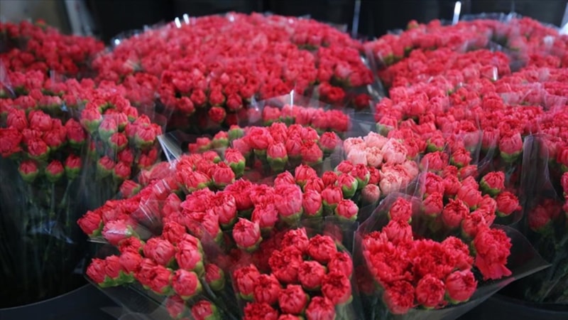 Dünya, Kadınlar Günü'nü Türkiye'den giden 75 milyon dal çiçekle kutlayacak