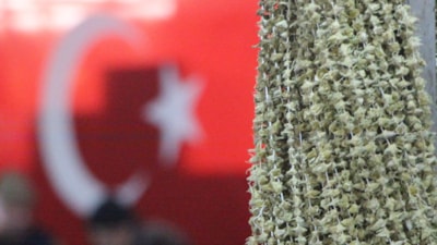 Amasya'da çiçek bamyasının fiyatı gram altınla yarışıyor