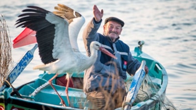 Bursa'da Yaren leylek için yuva hazırlandı