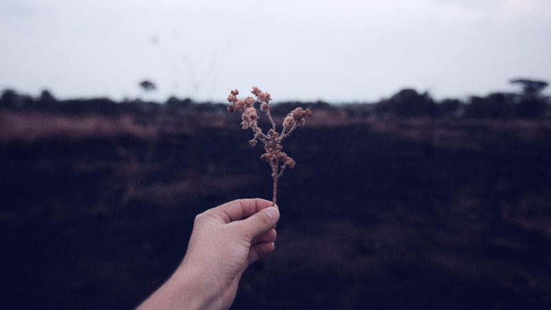 Ruhsal rehberlerden gelen mesaj: Gölge Rehberler