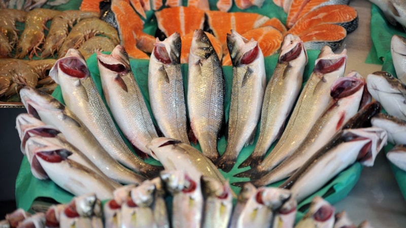 Muğla’nın şubat ayı su ürünleri ihracatı: 86,3 milyon dolar