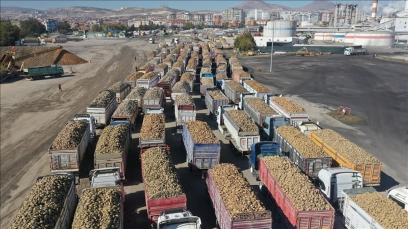 İklim değişikliği şeker pancarı üretimini etkiledi