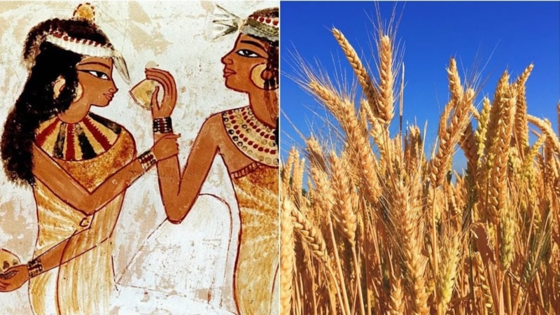 Antik Mısır'da Hamilelik Testi Bakın Hangi Yöntemle Yapılıyordu...