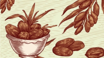 Sağlıklı ve dengeli beslenme ilkelerini günümüzle buluşturan kitap: Hz. Muhammed Gibi Beslenmek