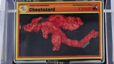 Açık artırmaya damga vurdu! O cips tamı tamına 3.2 milyon TL’ye satıldı