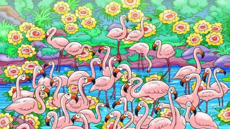 IQ testi: Sherlock gibi düşünün, gizlenen kadını görün...