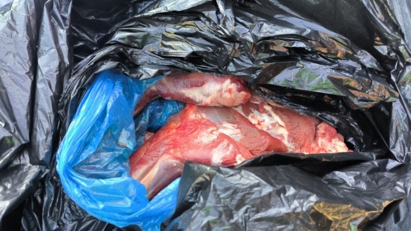 Artvin’de yaban keçisi avına  673 bin lira ceza