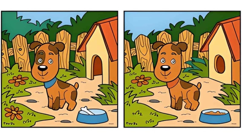 2 resim arasındaki 10 farkı 20 saniyede bulabilen çıkmadı! Şimdi sıra sizde...