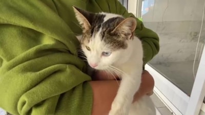 Antalya'da kedisi mahsur kalan kız önce üzüntüden, sonra sevinçten ağladı