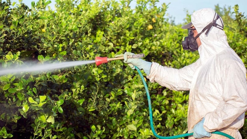 Ağaçlar hangi aylarda ilaçlanır? Mart ayında hangi ağaçlara ilaç atılır?