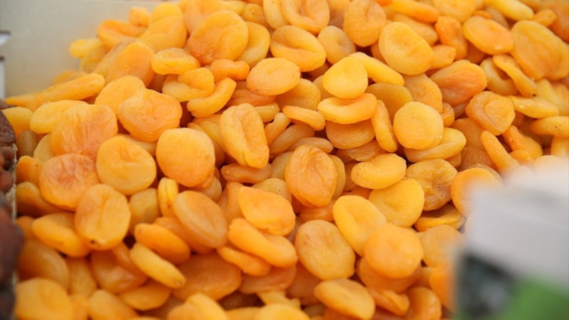 Kayısı, Malatya'ya iki yılda 819 milyon dolar kazandırdı