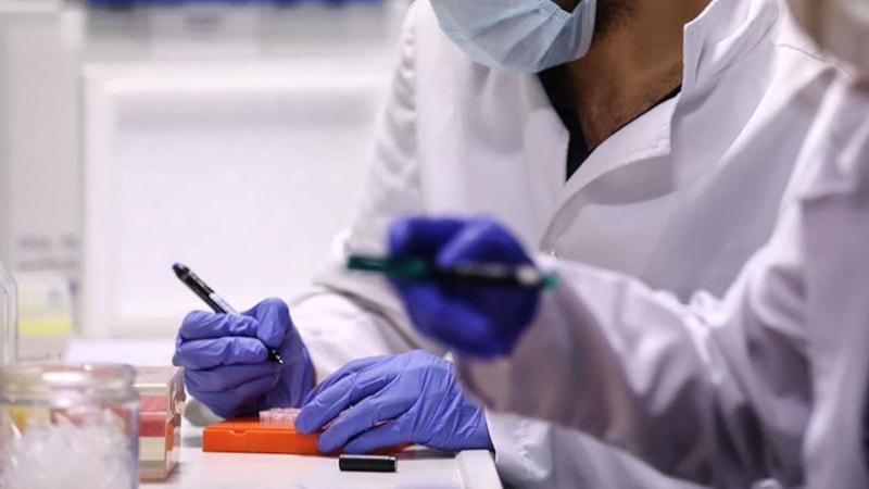 Sudan virüsü (SVD) nedir, nasıl bulaşır? İşte belirtileri…