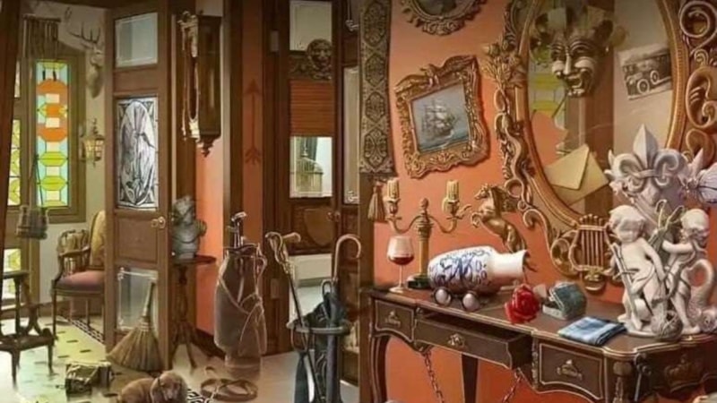 Zeka illüzyonu: Gizli kediyi IQ'nuz düşükse göremezsiniz!